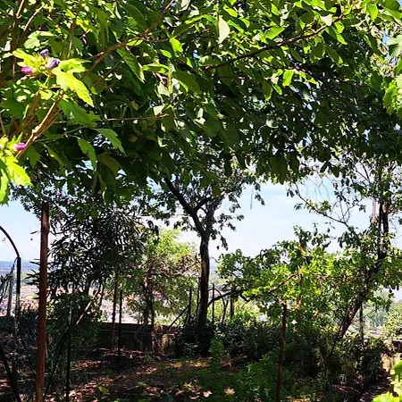 L'incanto Del Trasimeno Con Giardino Vista Nel Cuore Di Castiglione 펜션 *