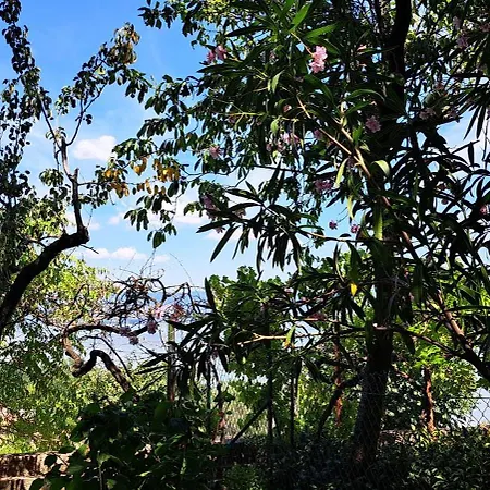 Сasa de vacaciones L'incanto Del Trasimeno Con Giardino Vista Nel Cuore Di Castiglione Castiglione del Lago